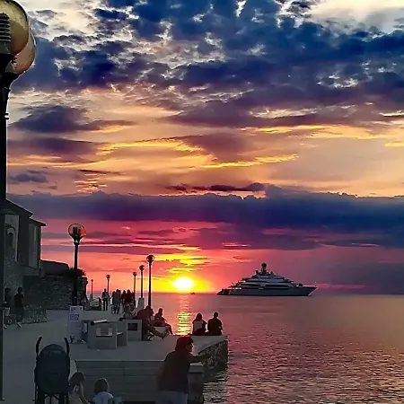 Center Premium 아파트 포레치